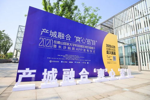 大干一百天看岳麓作為之項目篇