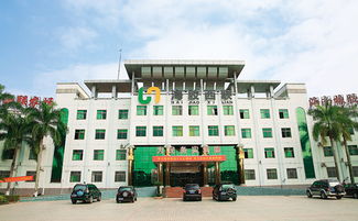 心系故土 實業救國 華僑與儋州近代開發