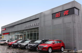 百年艾瀟，以夢為馬 百墩實(shí)業(yè)加盟再添一員悍將